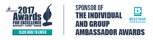 Springboard 2017 Awards for Excellence - Sponsor of the Individual and Group Ambassador Awards